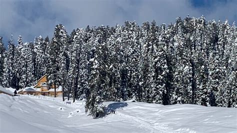 Gulmarg Ski Hill Resort Hotel Gulmarg - Reviews, Photos & Offer