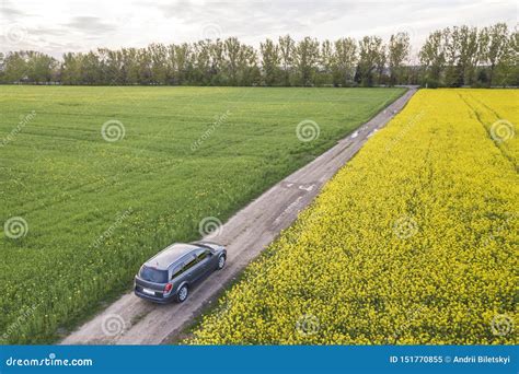 Aerial View Of Car Driving By Straight Ground Road Through Green Fields