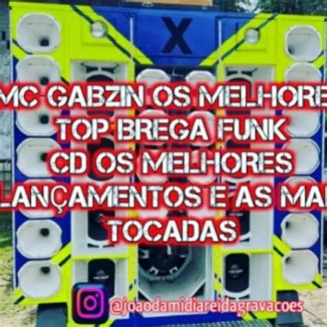 Mc Gabzin Os Melhores Top Brega Funk Cd Os Melhores Lan Amentos E As