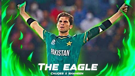 The Incredible Skills Of Eagle Shaheen Afrid Shaheen Afridi