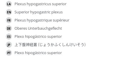 Superior hypogastric plexus - e-Anatomy - IMAIOS