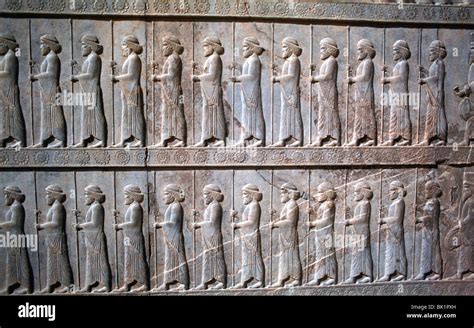 Relief of Immortals, the Apadana, Persepolis, Iran Stock Photo - Alamy