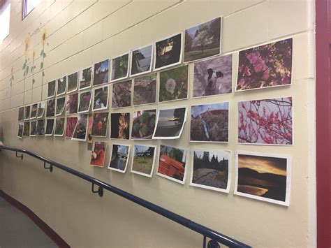 Seana Ryan (@RyanSeana) / Twitter