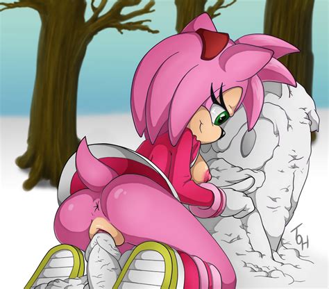 Rule 34 1boy 1girls Amy Rose Breasts Female Hedgehog Penis Pussy Ride Riding Riding Penis