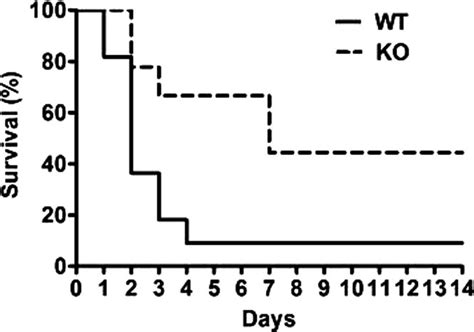 Impact Of Toll Like Receptor 2 Tlr2 Deficiency On The Mouse Mortality Download Scientific