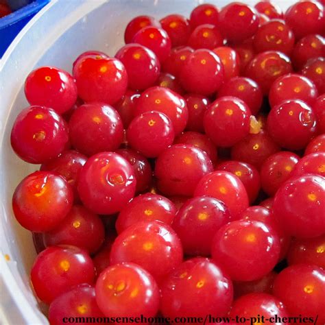 How To Pit Cherries Without A Cherry Pitter Easy Video