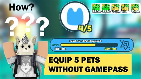 EQUIP 5 PETS IN PET SIMULATOR X ROBLOX 2021 NO GAMEPASS YouTube