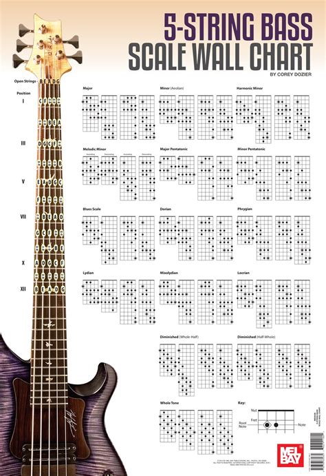 5 string bass notes chart 5 string bass guitar fretboard chart