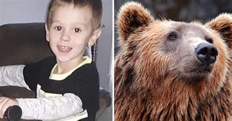 Missing 3 Year Old Boy Survives In Woods For 2 Freezing Nights Says Massive Bear Protected Him