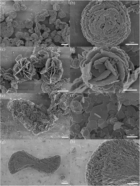 SEM Images Of The As Prepared BiOCl Samples A And B BiOCl HCl C