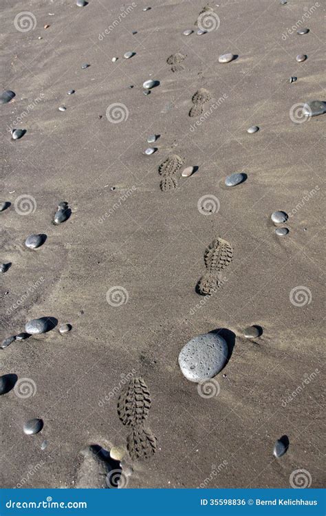 Empreintes De Pas Dans Le Sable Photo Stock Image Du Pistes Aventure