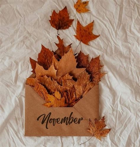 Pin By Alexia Panizza On Autunno Hello November Autumn Photography