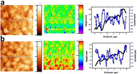 Application Of Atomic Force Microscopy In Organic And Perovskite