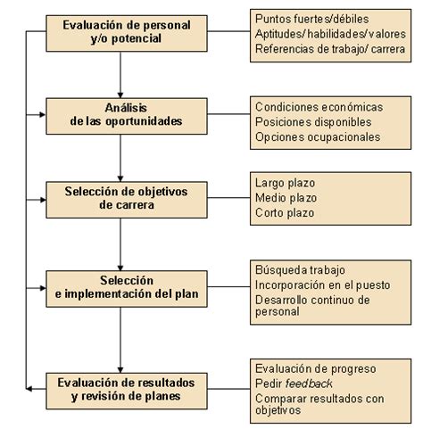 Formaci N Y Desarrollo