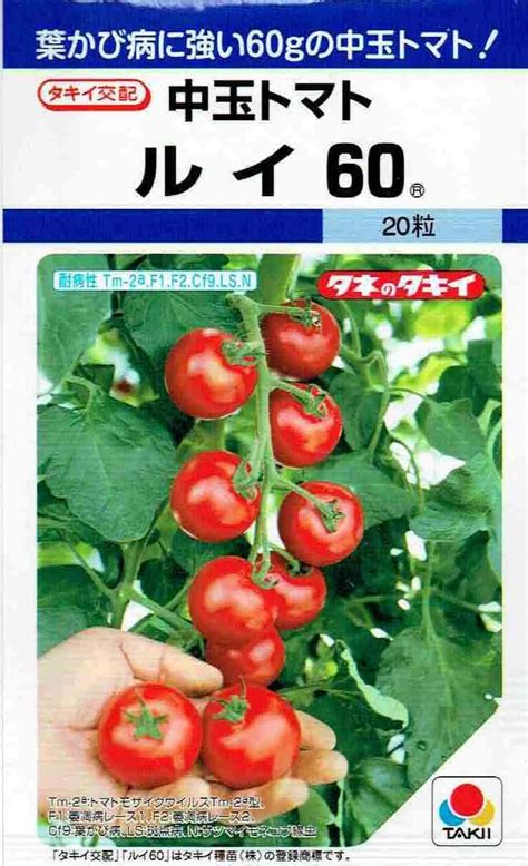 Amazon タキイ種苗 中玉トマト ルイ60 野菜