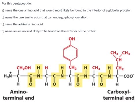 Solved For This Pentapeptide A Name The One Amino Acid