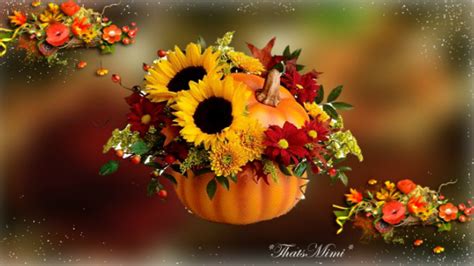 Fall Flowers Wallpaper 48 Pictures Wallpaperset