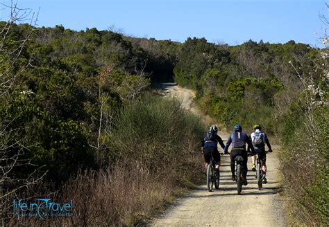 Bici Mountain Bike I Diversi Tipi E Come Scegliere Quella Giusta Per