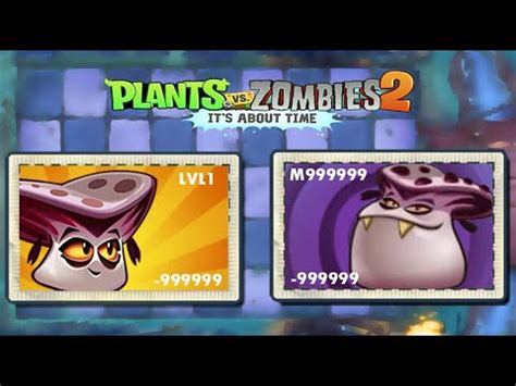 Vamporcini Plant Animation Plants Vs Zombies 2 YouTube