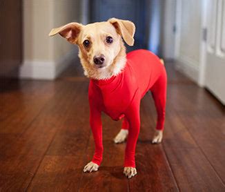 shed defender net worth 2020