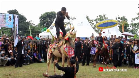 Kuda Silat Sumedang Beraksi Dalam Festival Kuda Renggong Terbesar Hd