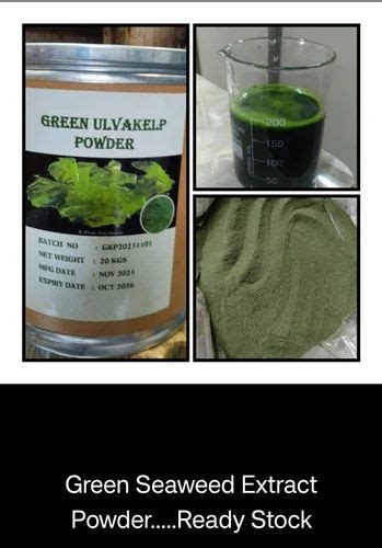 Green Seaweed Extract Powder At 280 Kg Seaweed Extract Fertilizers