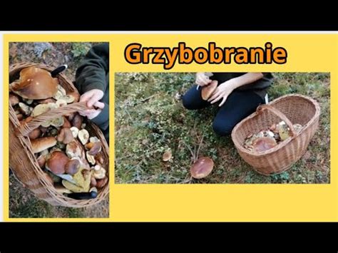 Masa Prawdziwk W Pe En Kosz Grzyb W Grzybobranie Youtube