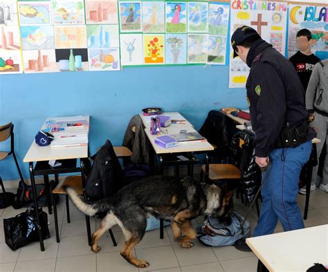 Lo Spaccio A Ricreazione I Blitz Coi Cani Nelle Scuole