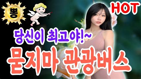 트로트 메들리 당신이 최고야 묻지마 관광버스 베스트 메들리 Youtube