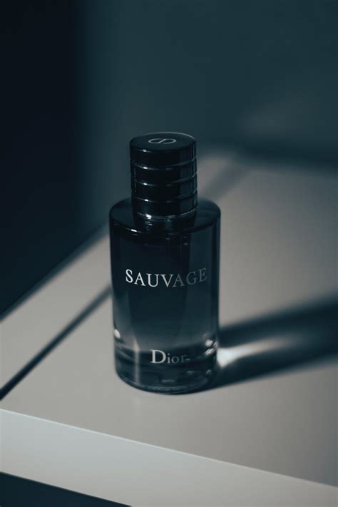 Sauvage Dior Dupe Atelier Yuwa Ciao Jp