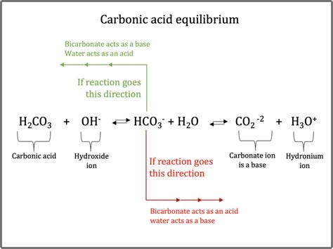 Ácidos Y Bases Ii Chemistry Visionlearning