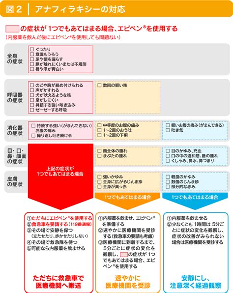 食物アレルギー 熊本県アレルギー疾病対策拠点病院 あなたの疑問に答えます。くまもとアレルギー相談室