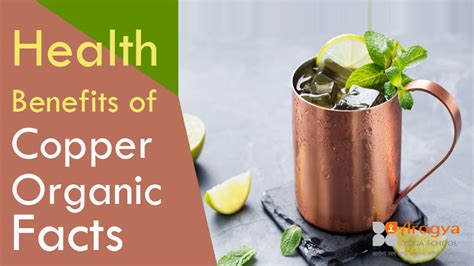 Health Benefits Of Copper Organic Facts Arogya Yoga School