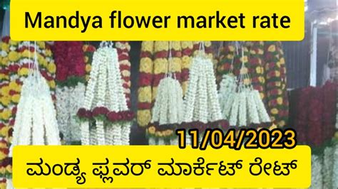 mandya flower market rate today ಮಡಯ ಪಲವರ ಮರಕಟ ರಟ 11 04 2023