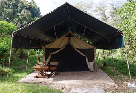 Siana Springs Tented Camp Massai Mara Kenia Reisen Individuelle