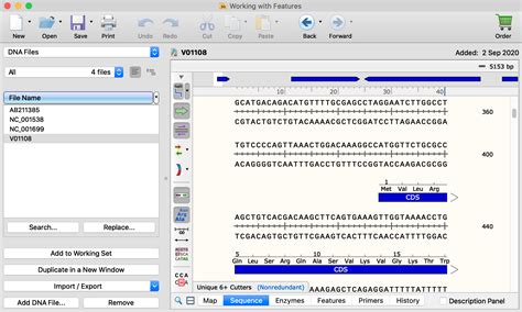 Convert Sequencher Genecodes Files To Snapgene Dna Format Snapgene