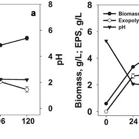 Time Course Of Cell Growth EPS Accumulation And PH During The