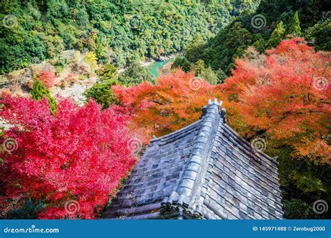 Arashiyama Stock Photo Image Of Senkoji Foliage River 145971488