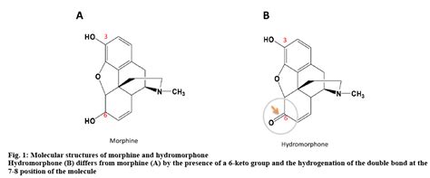 Stability Of Hydromorphone Hydrochloride And Morphine Under Different