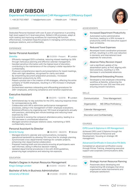 Ceo Cv Examples And Guide For 2025