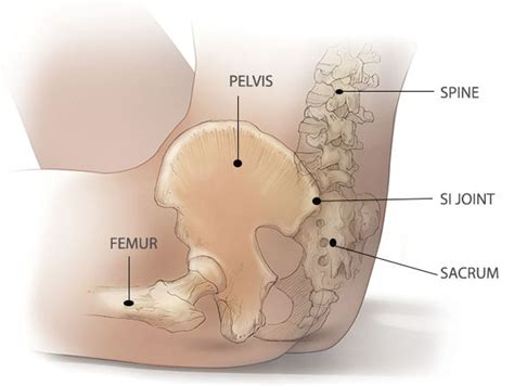 Yoga & the Sacrum