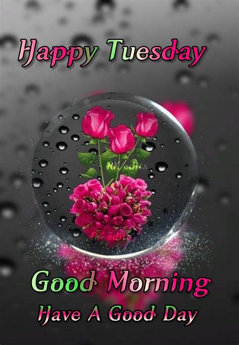 50 Good Morning Happy Wednesday Images Morning Greetings Morning Quotes And Wishes Images