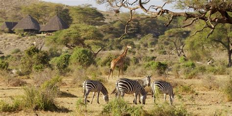 Kenya National Parks & Highlights - List of Game Parks in Kenya