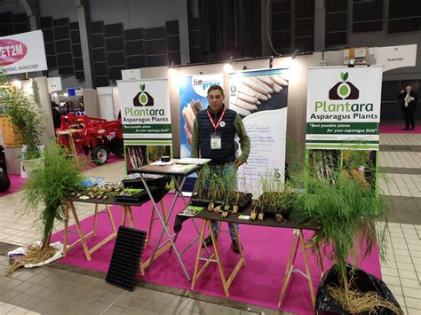 Plantara Plants on Twitter: "Visit us in stand 19 in #InternationalAsparagusDay We can offer ...