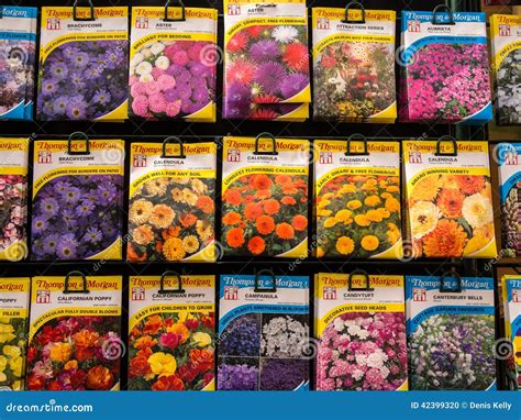 Flower Seed Packets On Sale Editorial Image Image Of Aster Line