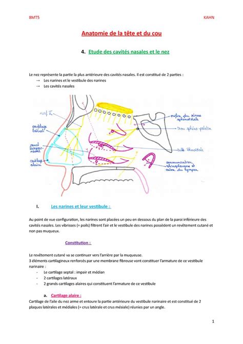 8MT5 Les cavités nasales 8MT5 KAHN Anatomie de la tête et du cou 4