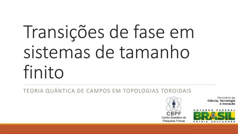 PDF Transições de fase em sistemas de tamanho finito Resumo do ano