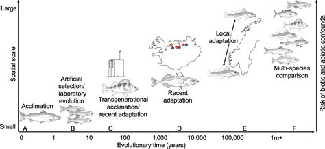 How Are Fish Adapted To Temperature 2022 QAQooking Wiki