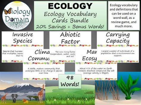 Ecology Word Wall Vocabulary Cards Bundle Teaching Resources