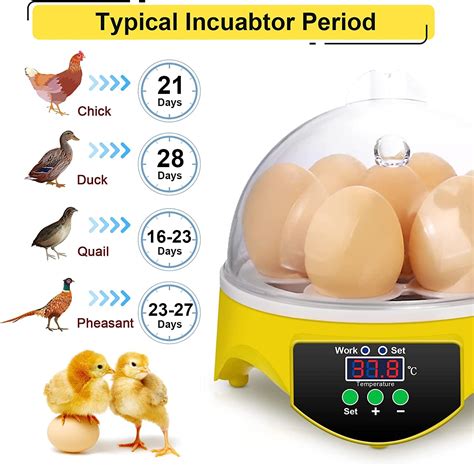 Buy Incubators For Hatching Eggs Egg Incubator With Temperature